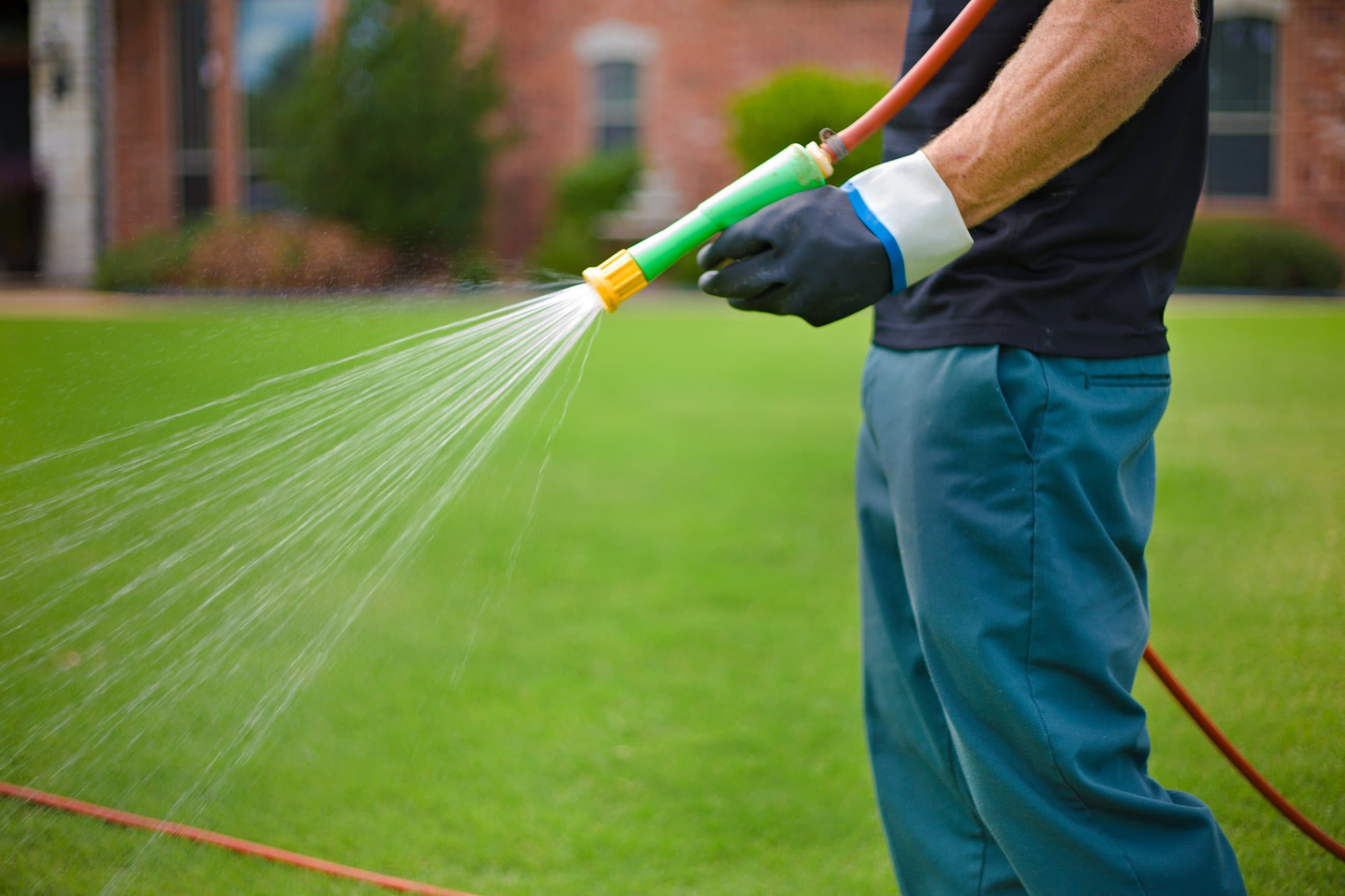 Pre-emergent weed treatment